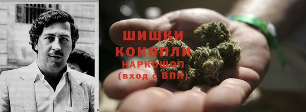 мдпв Володарск
