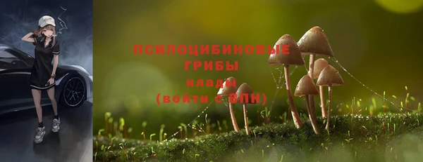 мдпв Волоколамск
