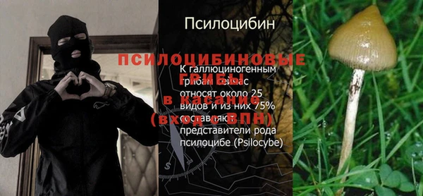 мдпв Волоколамск