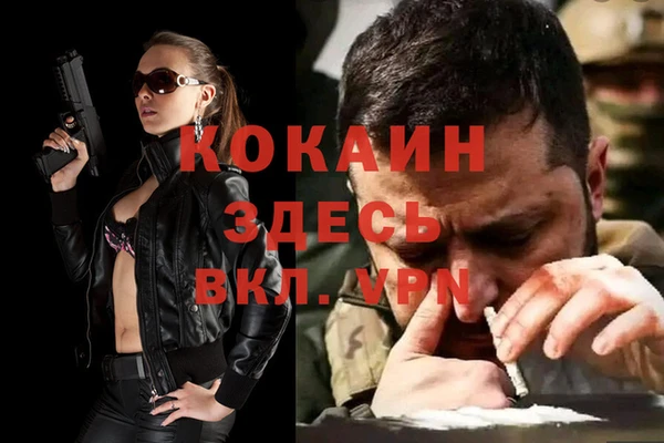 прущие грибы Верхний Тагил