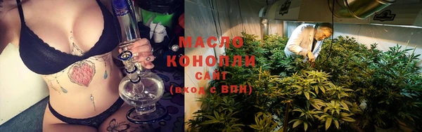 мдпв Володарск
