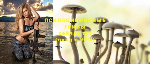 мдпв Волоколамск