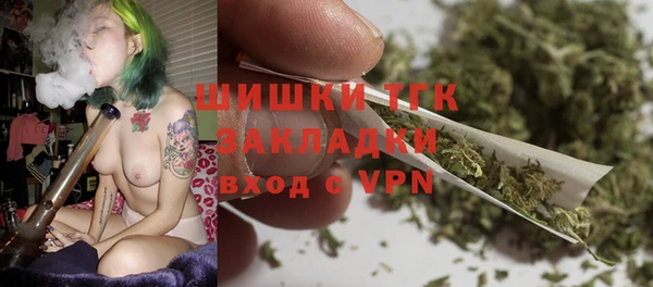 мдпв Волоколамск